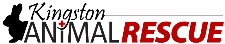 Kingston Animal Rescue